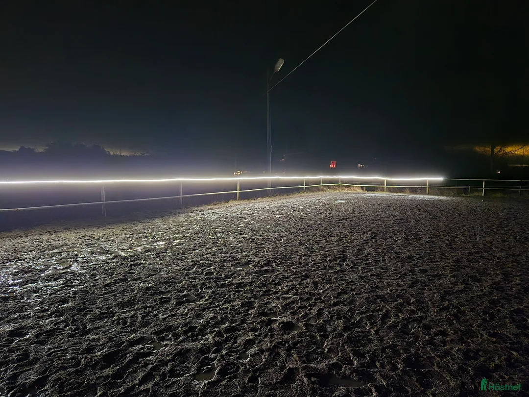  stallplats finnes: Lösdrift på Färingsö  i Färentuna - Annons 2