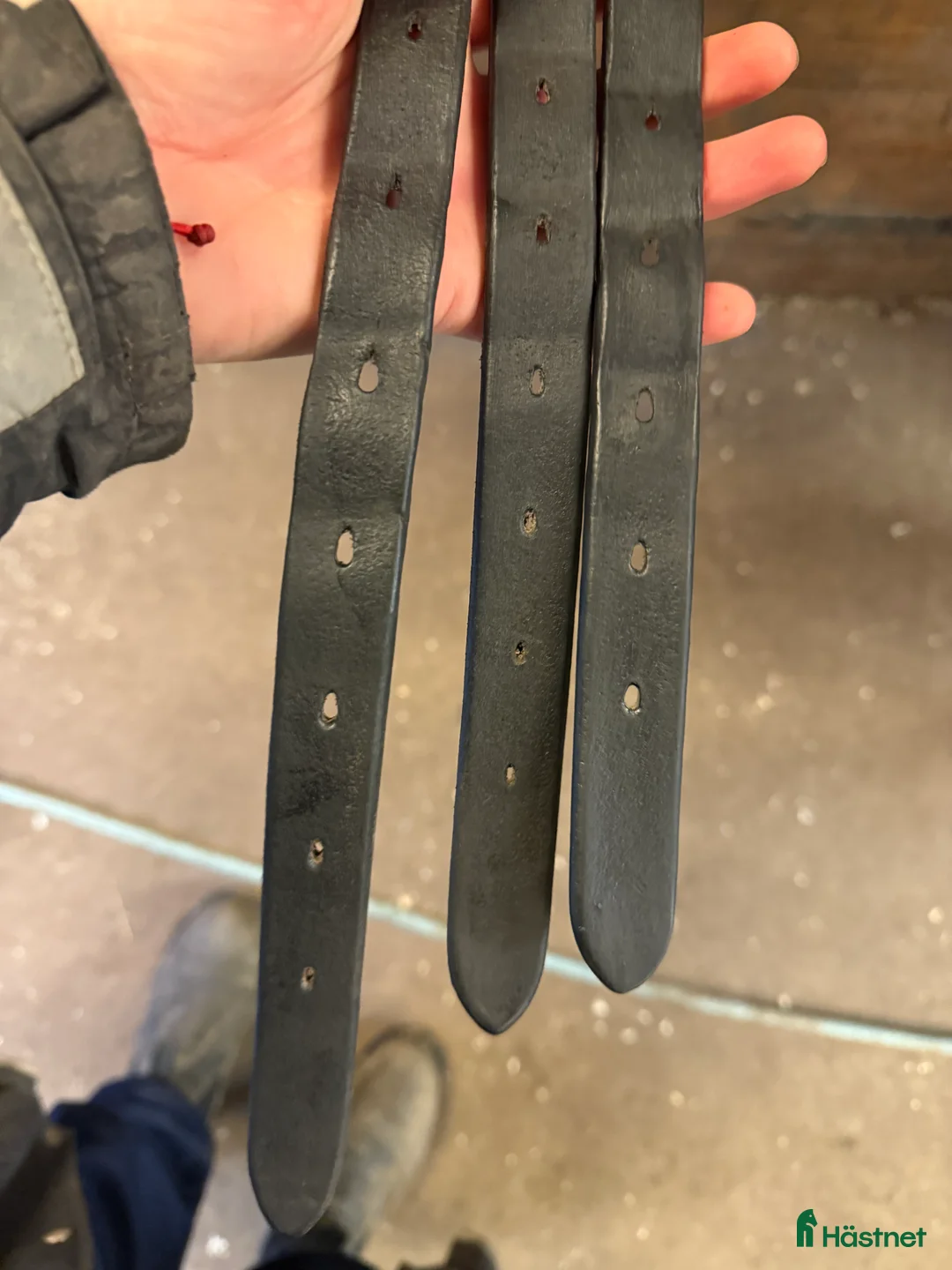 Sadlar hästutrustning till salu: Spalding Walsall i Rånäs - Annons 7