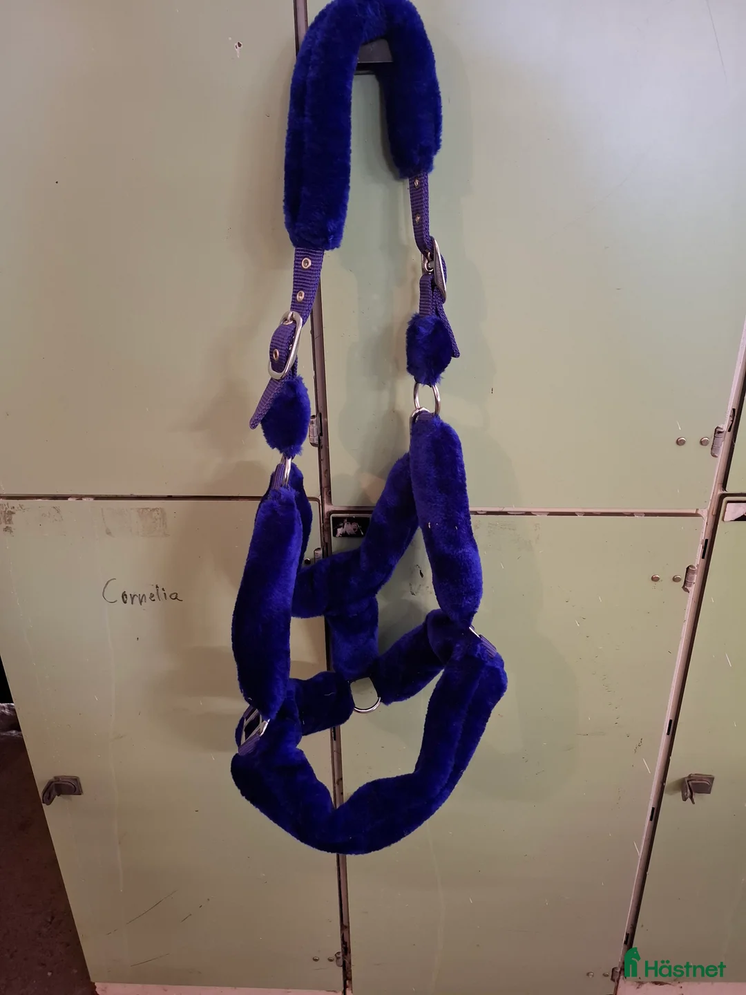 Övrig Hästutrustning hästutrustning till salu: Stallrensning i Vagnhärad - Annons 6