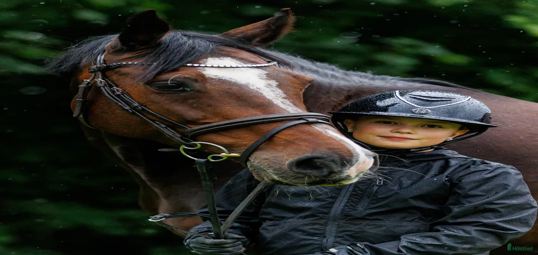 Galleribild {{count}}