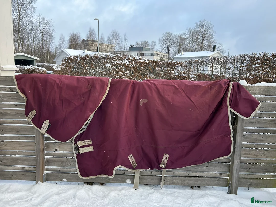 Täcken hästutrustning till salu: Horseware Amigo Hero 130 i 200 gr i Älmhult - Annons 2