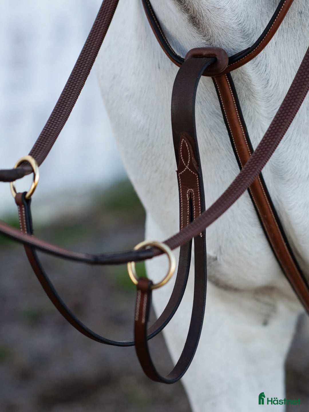 Övrig Hästutrustning hästutrustning till salu: Martingal brun läder  i Göteborg - Annons 2