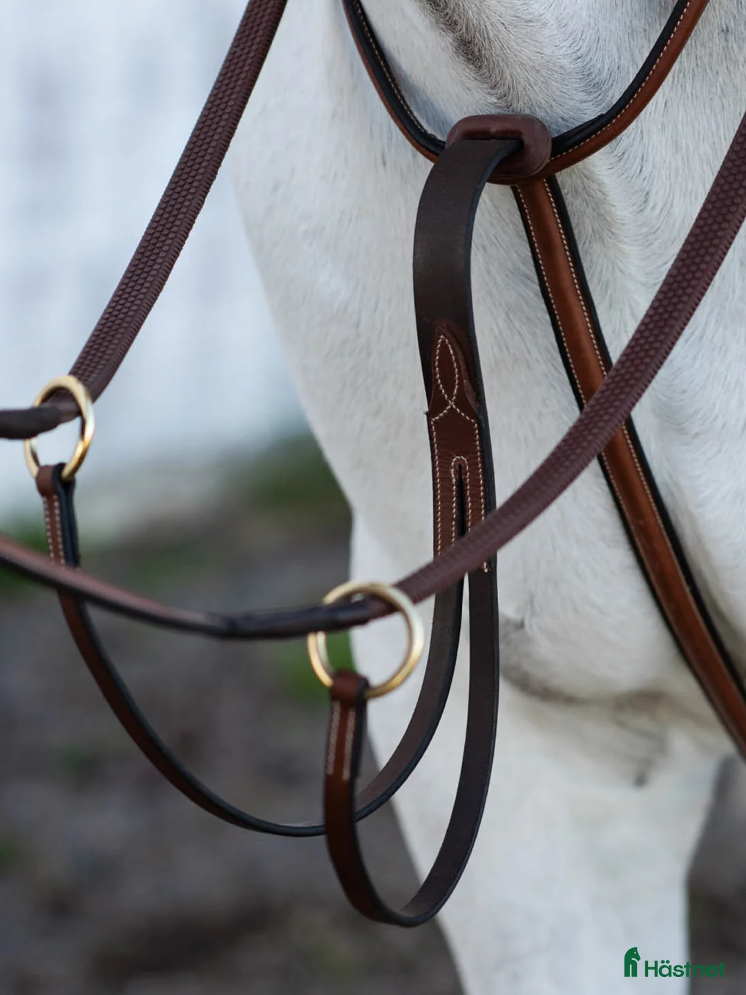 Övrig Hästutrustning hästutrustning till salu: Martingal brun läder  i Göteborg - Annons 2