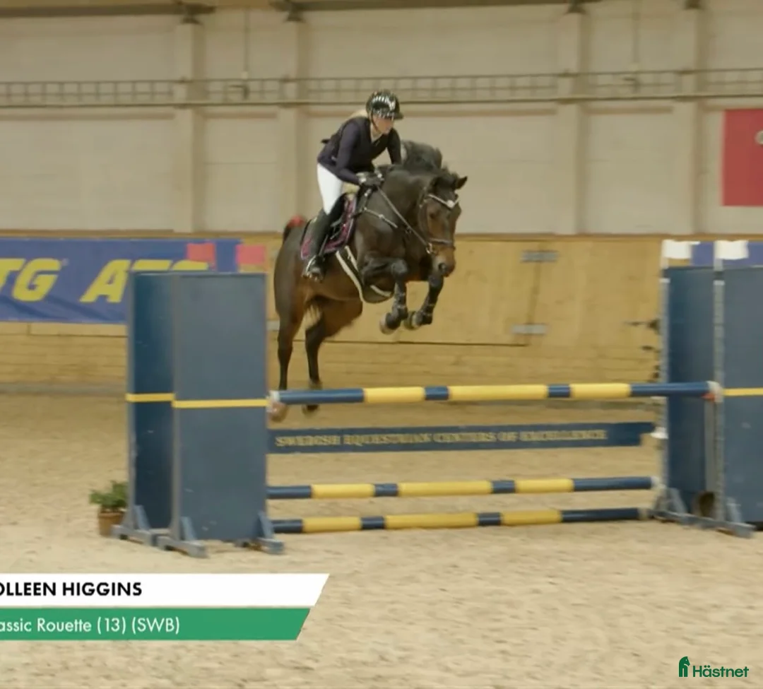 Galleribild {{count}}