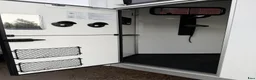 Hästtransporter  fordon & transport till salu: Umesläp B60 2024 - Annons 10