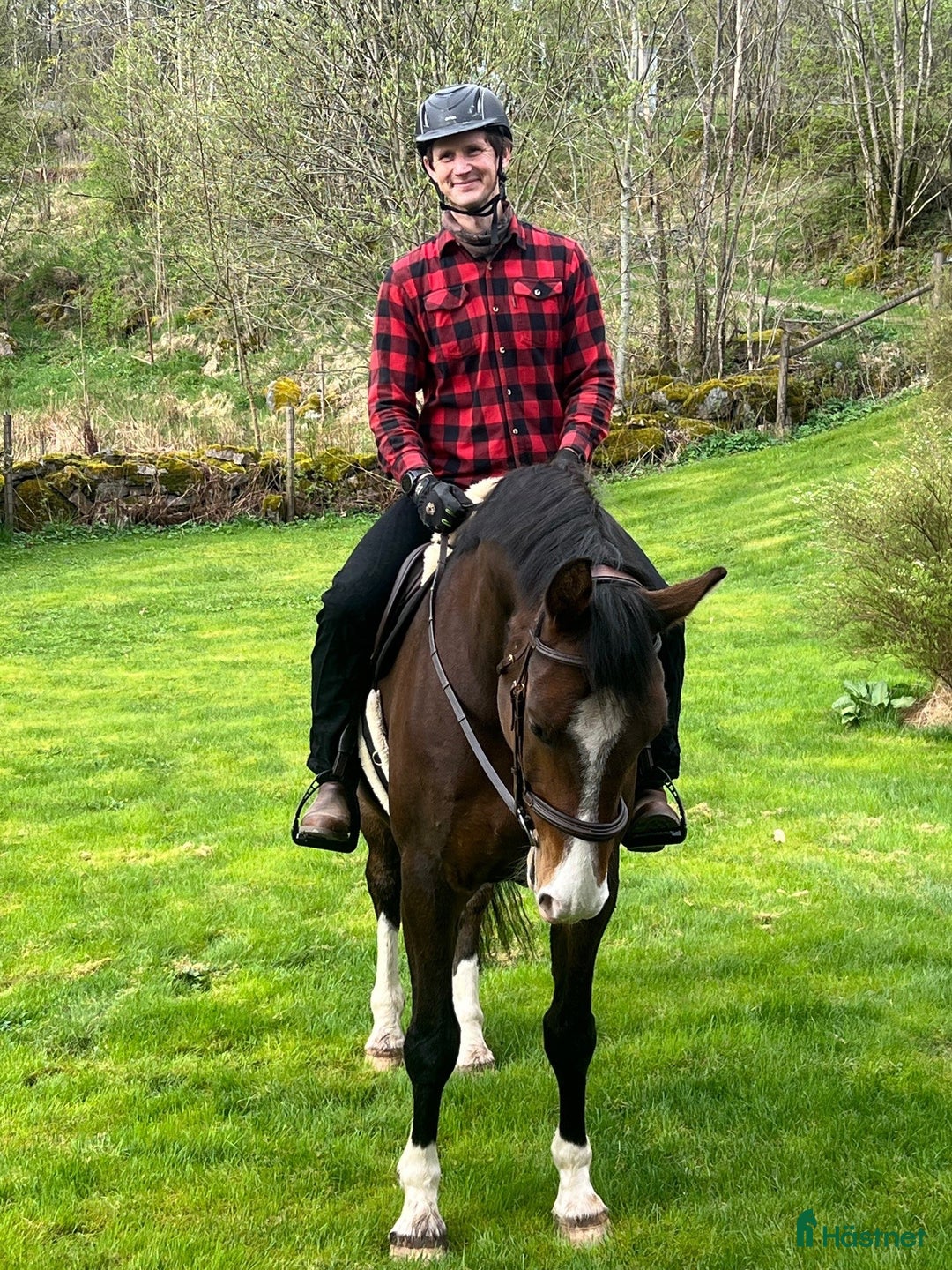  medryttarhäst finnes: Medryttare sökes i Ödenäs i Alingsås - Annons 1