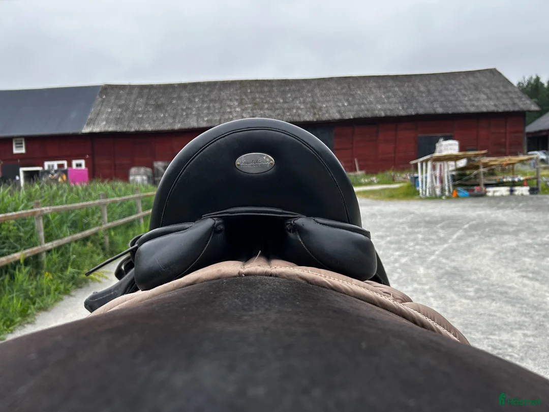 Sadlar hästutrustning till salu: Santa Cruz, GenTec  - Annons 2