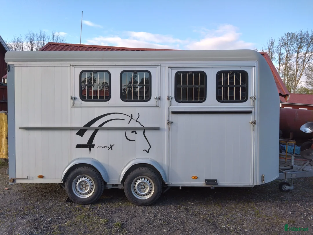 Hästtransporter  fordon & transport till salu: Fin Optimax - Annons 1