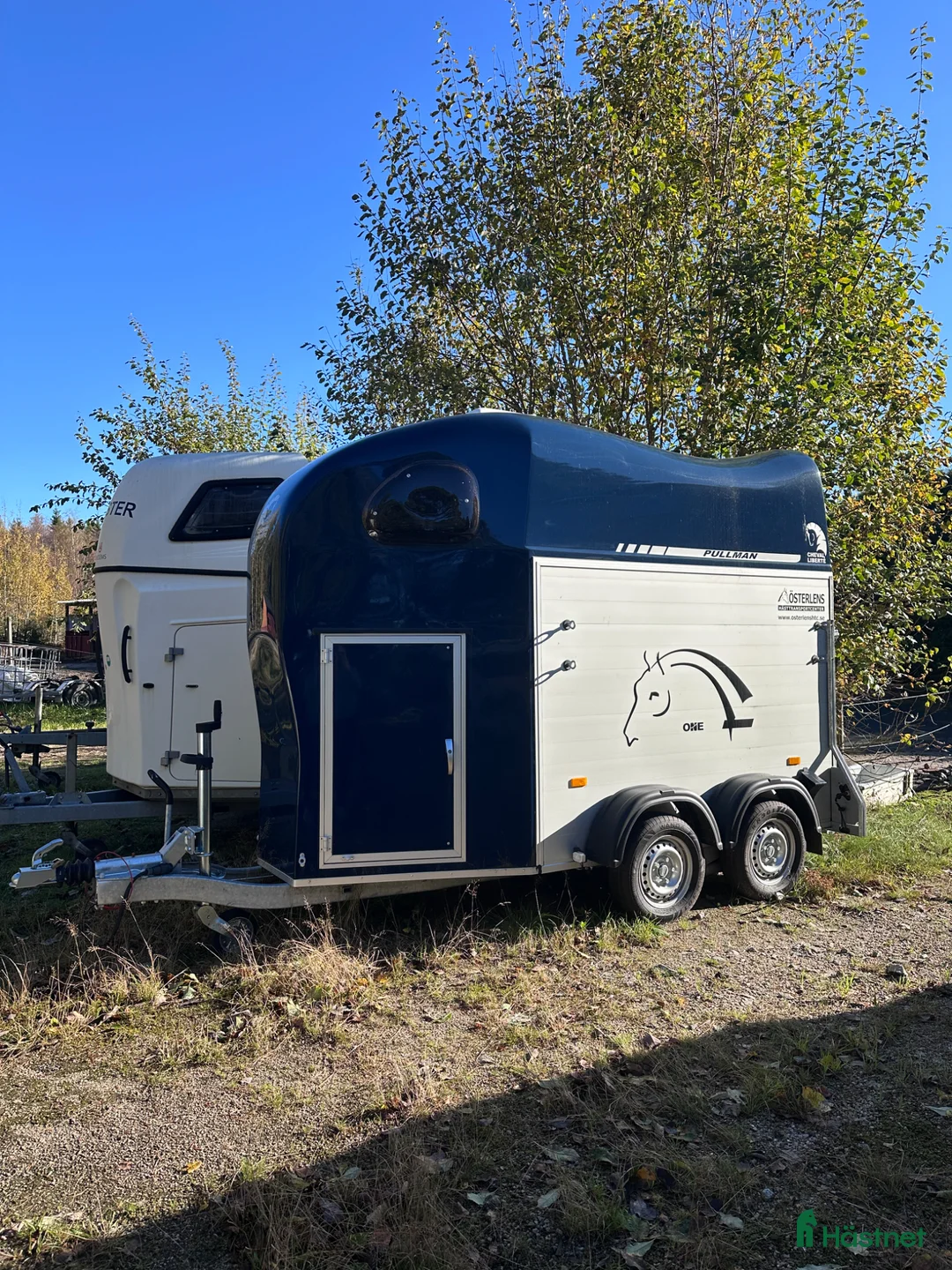 Hästtransporter  fordon & transport till salu: Cheval Liberté 1,5 hästsläp! - Annons 1