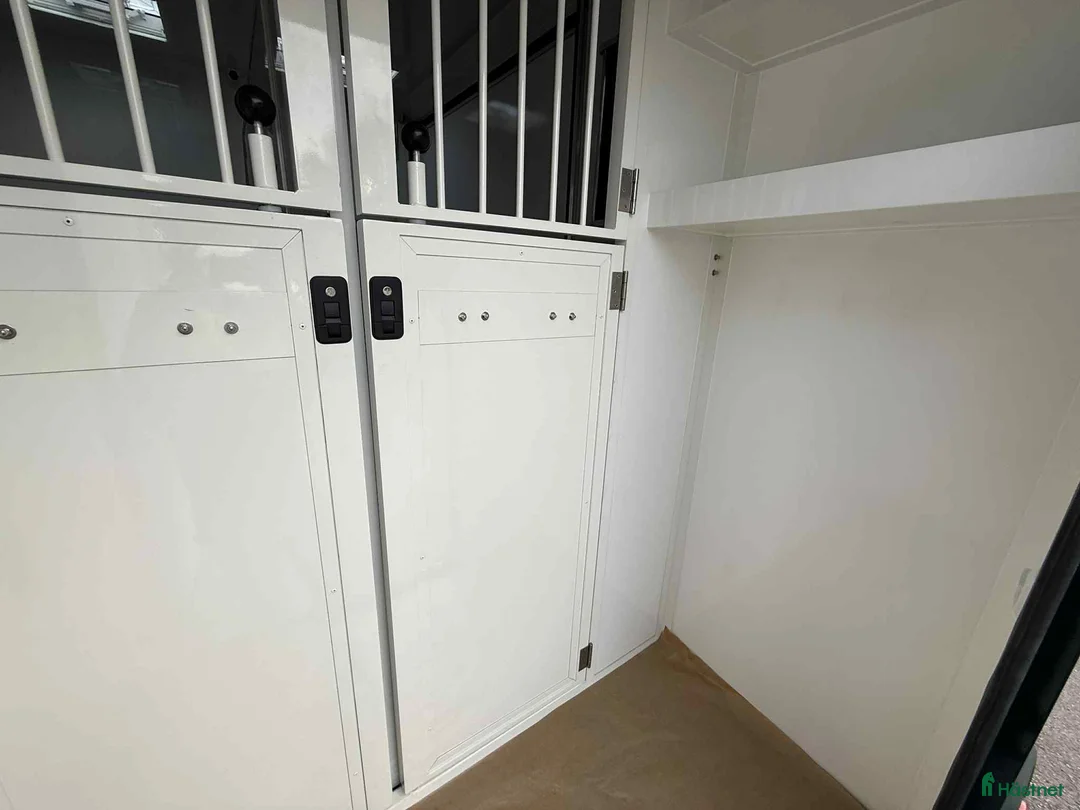 Hästlastbilar  fordon & transport till salu: NORDIC HORSE 5 STUTERI *HÖG LASTVIKT* i Köping - Annons 11