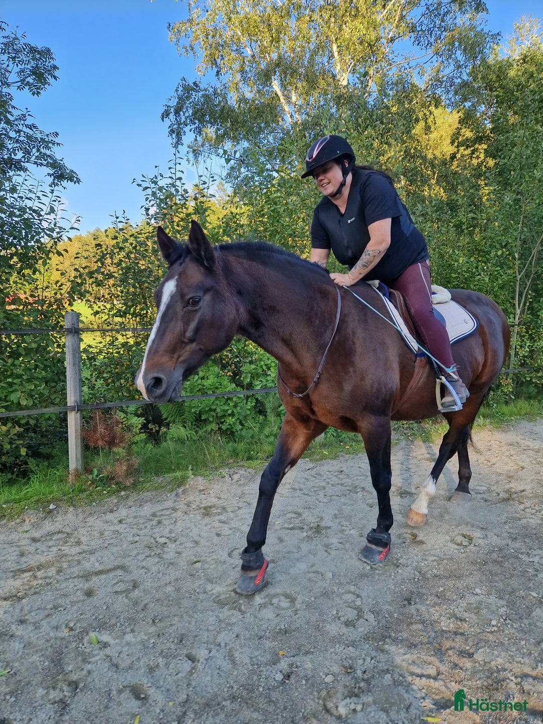  stallplats finnes: Mysigt stall och lösdrift i lindome  i Lindome - Bild 11