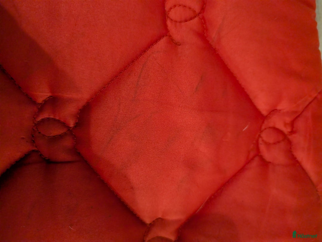 Schabrak & Vojlockar hästutrustning till salu: Equestrian Stockholm schabrak  i Borlänge - Annons 3