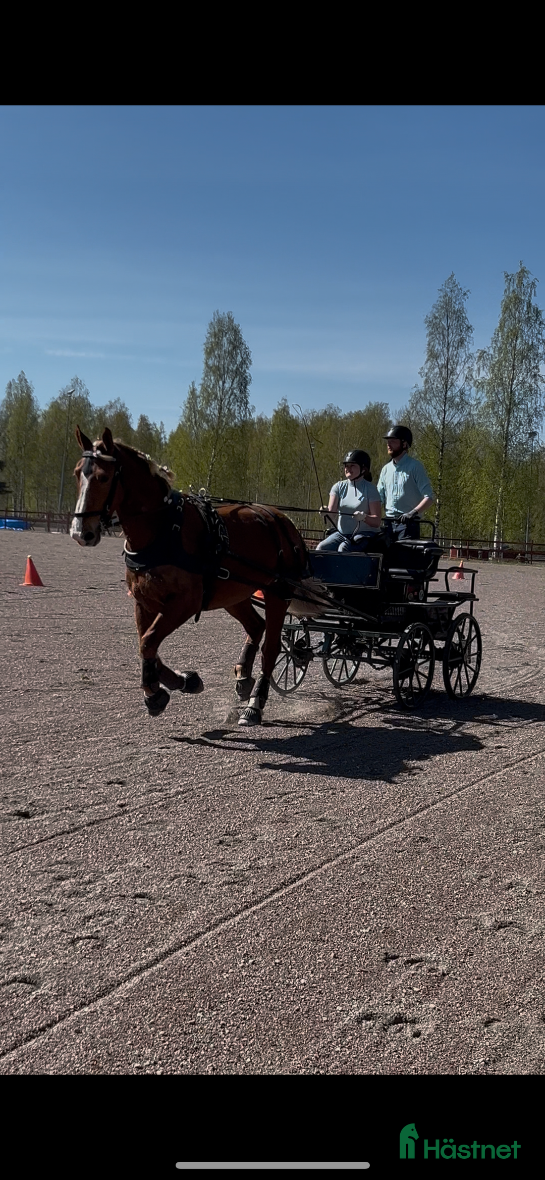 Körvagnar körning till salu: Maratonvagn storhäst i Västra Ämtervik - Annons 19