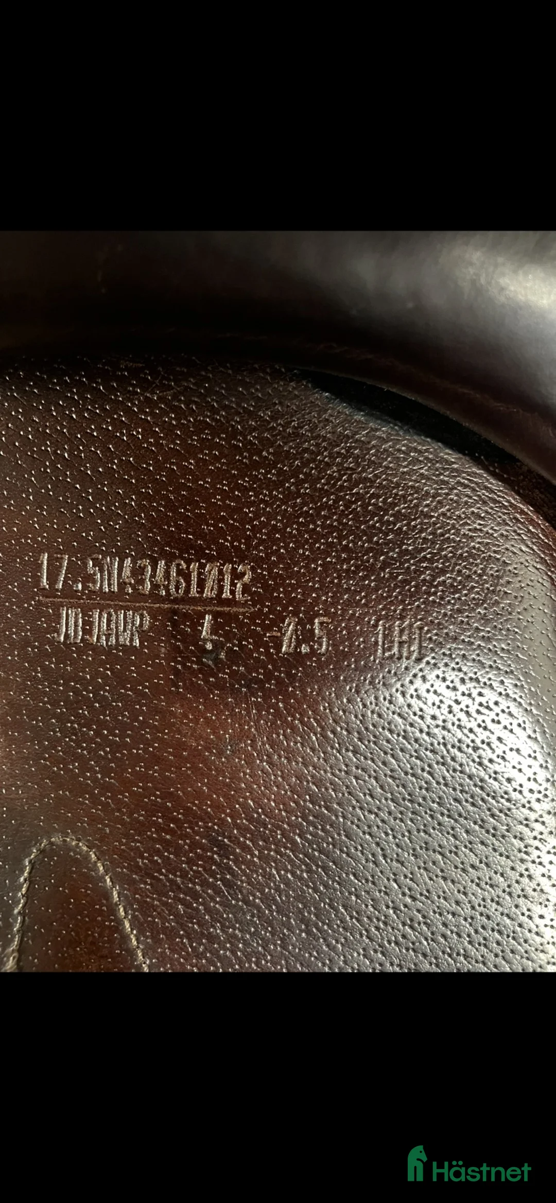 Sadlar hästutrustning till salu: Amerigo DJ Pinerolo 17.5” - Annons 12