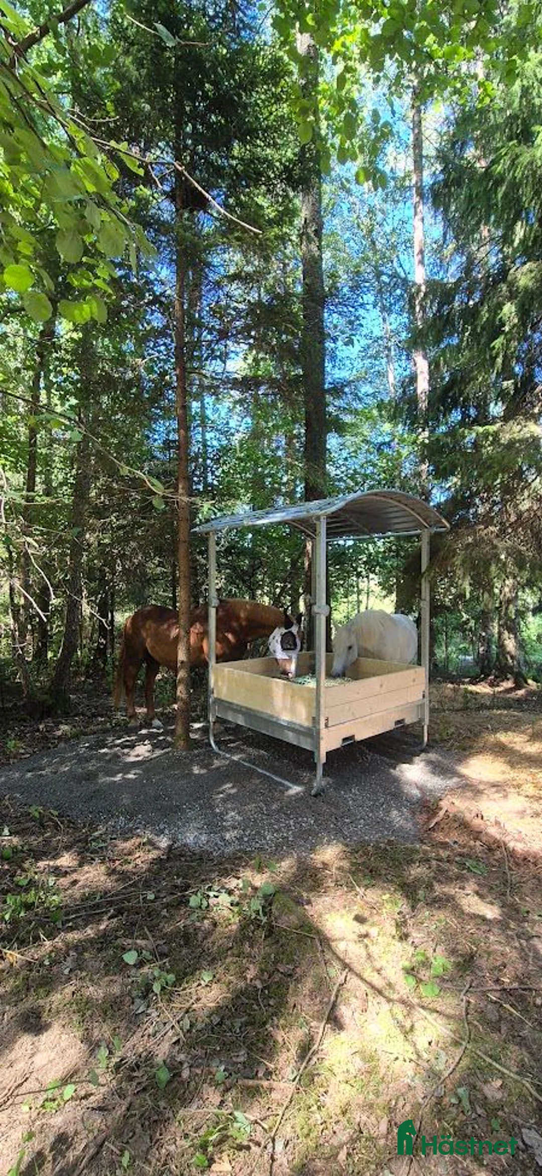  stallplats finnes: Lösdrift i Tullinge för lättfödda hästar/ponnyer  - Annons 2