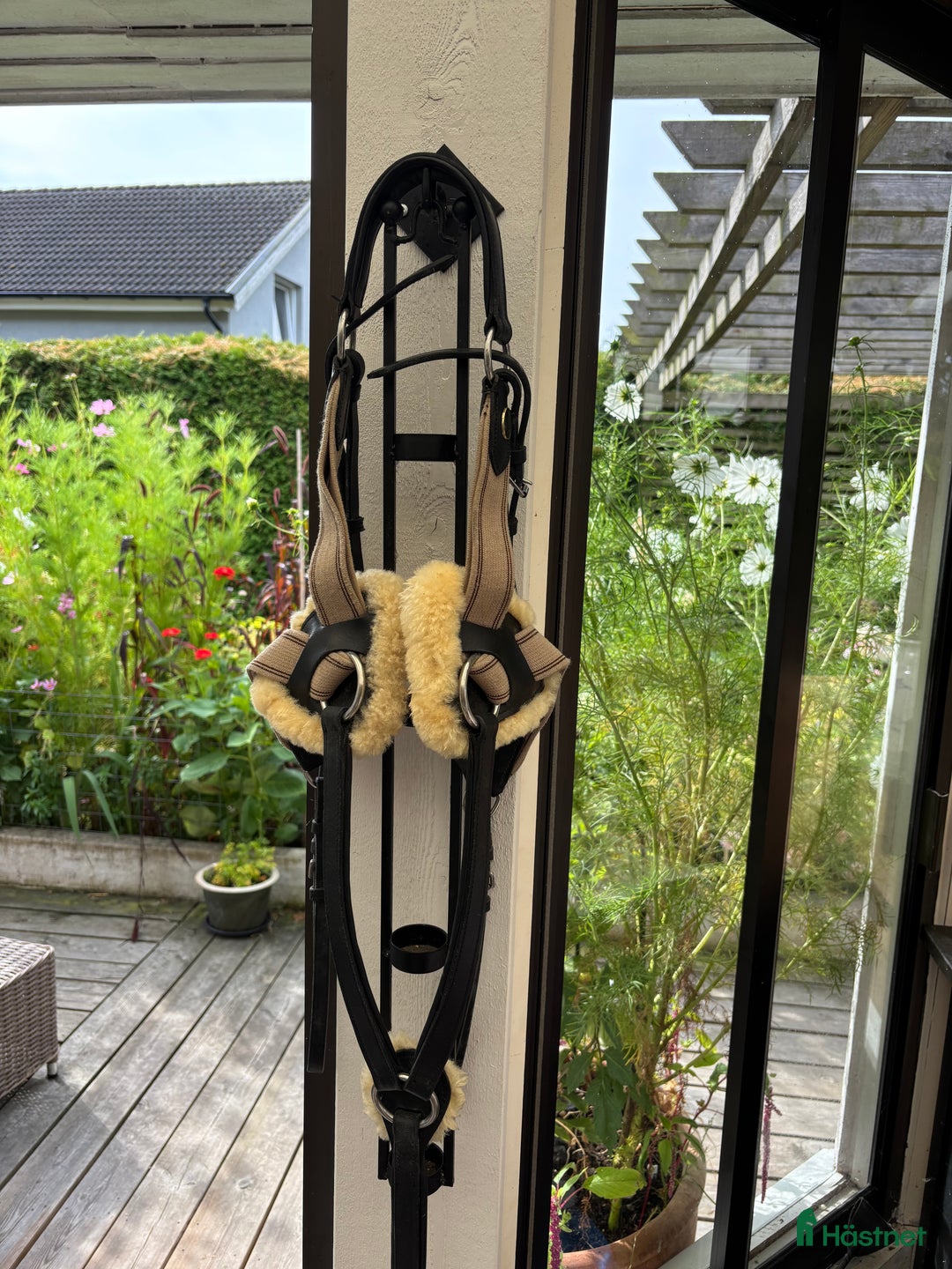 Sadeltillbehör hästutrustning till salu: Förbygel i Eslöv - Annons 1