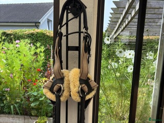 Sadeltillbehör hästutrustning till salu: Förbygel i Eslöv - Annons 3