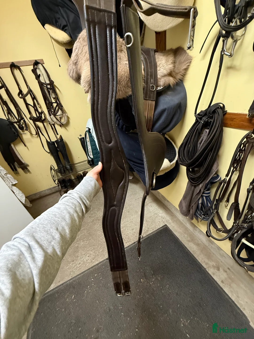 Sadeltillbehör hästutrustning till salu: Sadelgjord - Annons 2