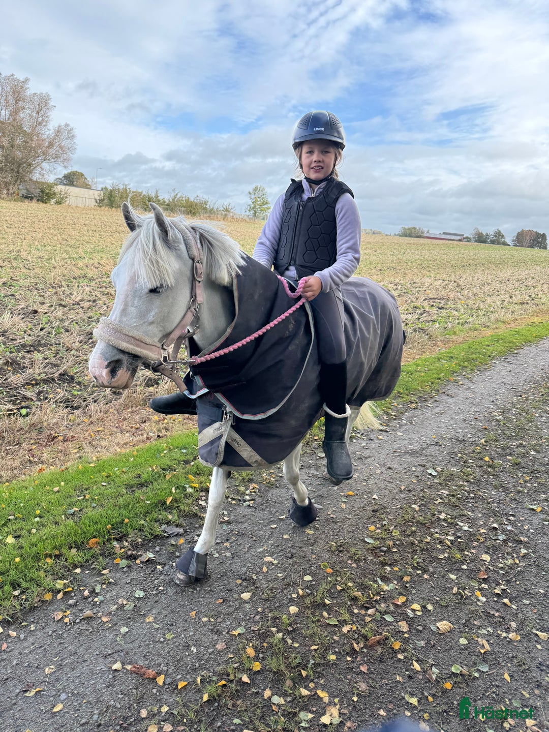 Allround hästar till salu: Prinsessa till salu i Vellinge - Annons 7