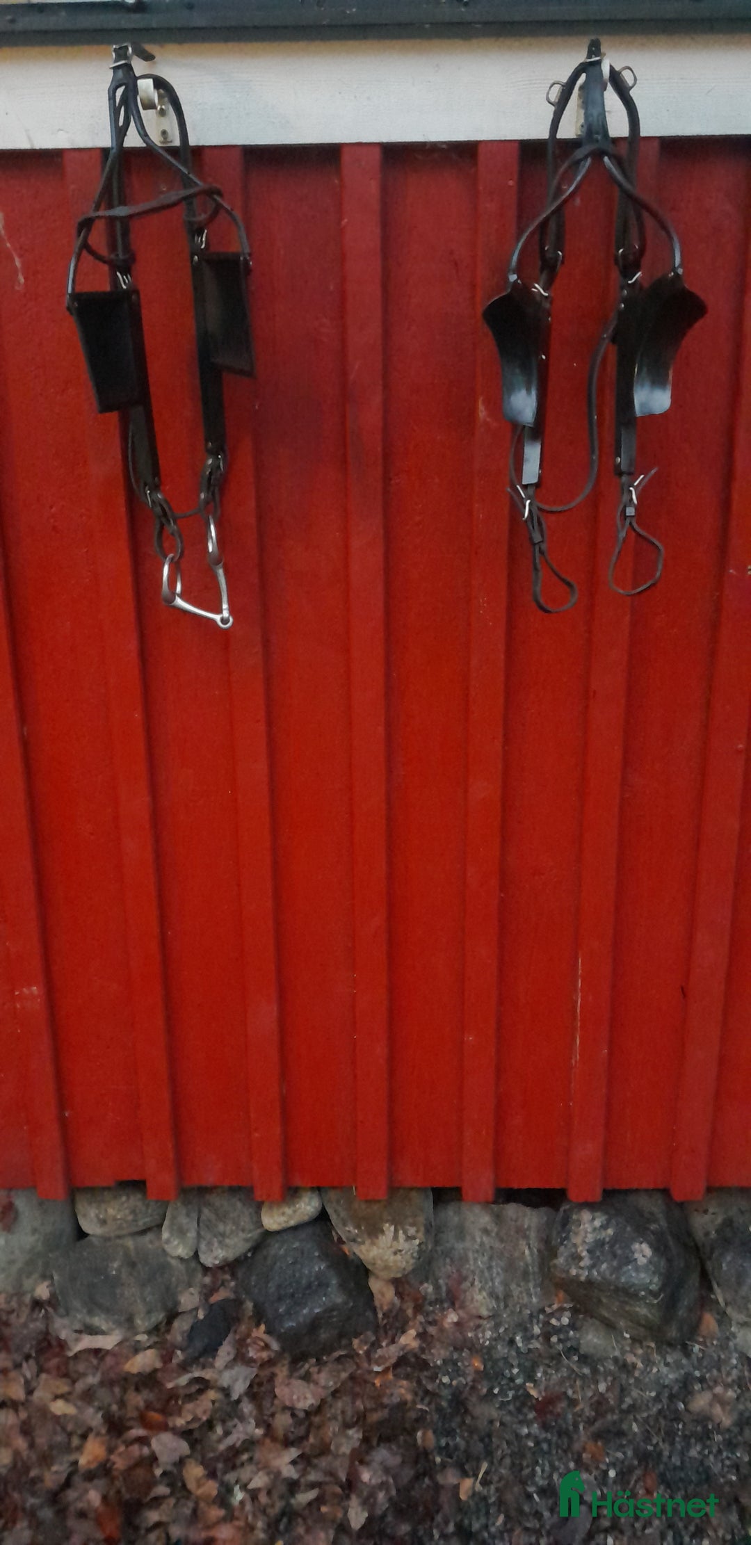 Travselar trav till salu: Trav Remsele Huvudlag Tömmar  i Sorunda - Annons 3