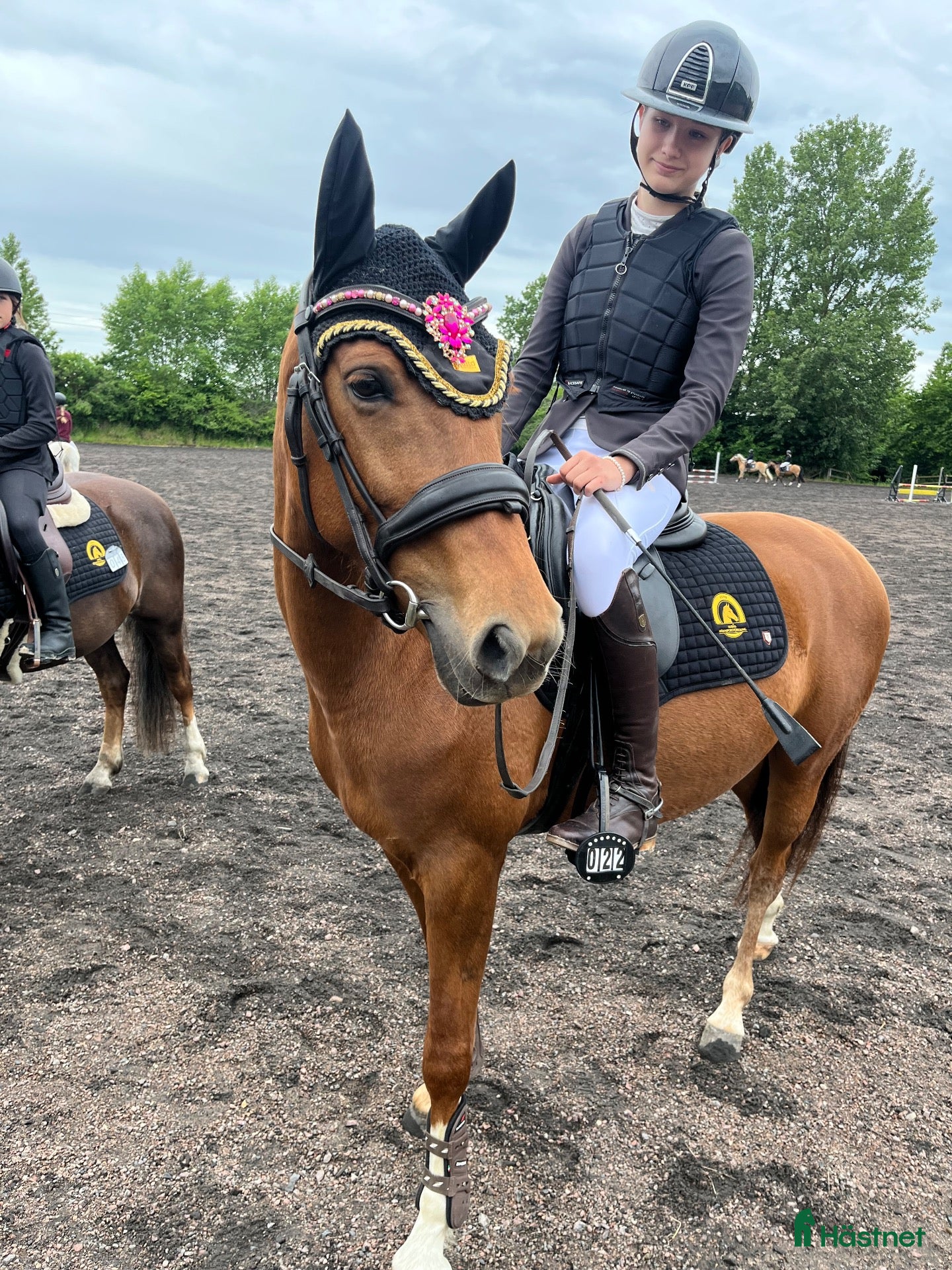  hästar Lunaria- en bästa kompis med potential🌟 - Annons 1