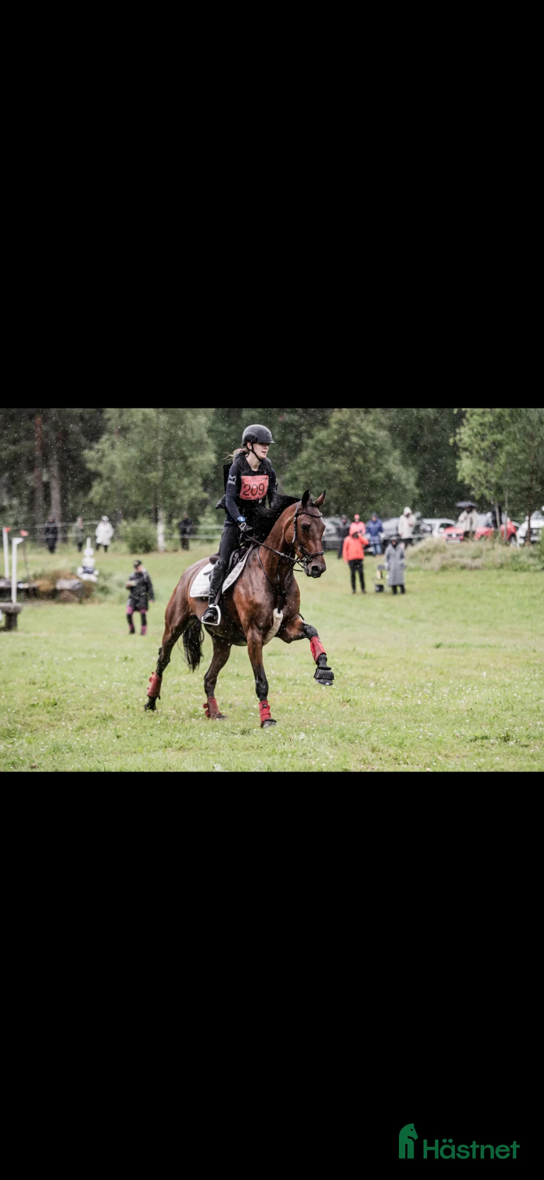 Fälttävlan hästar till salu: Häftig fälttävlanshäst - Annons 1