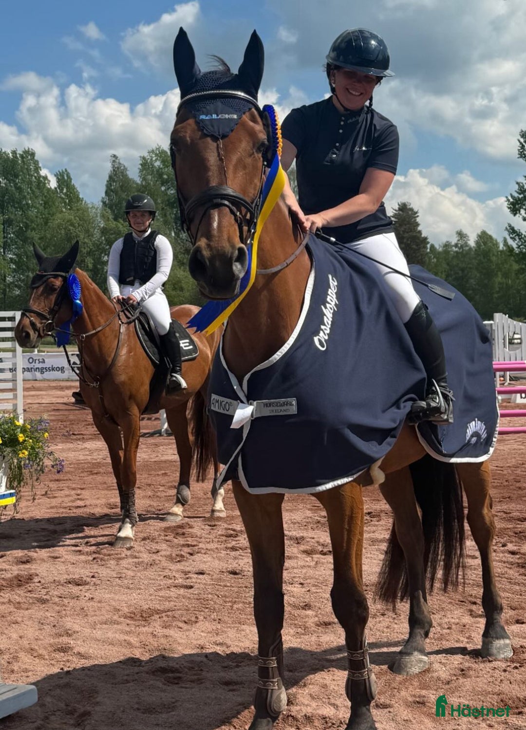 Hoppning hästar till salu: SWB valack i Orsa - Annons 4