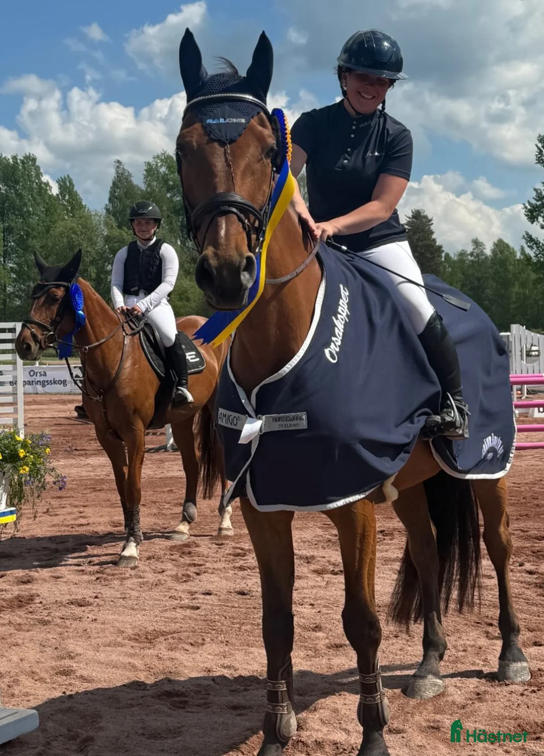 Hoppning hästar till salu: SWB valack - Annons 4