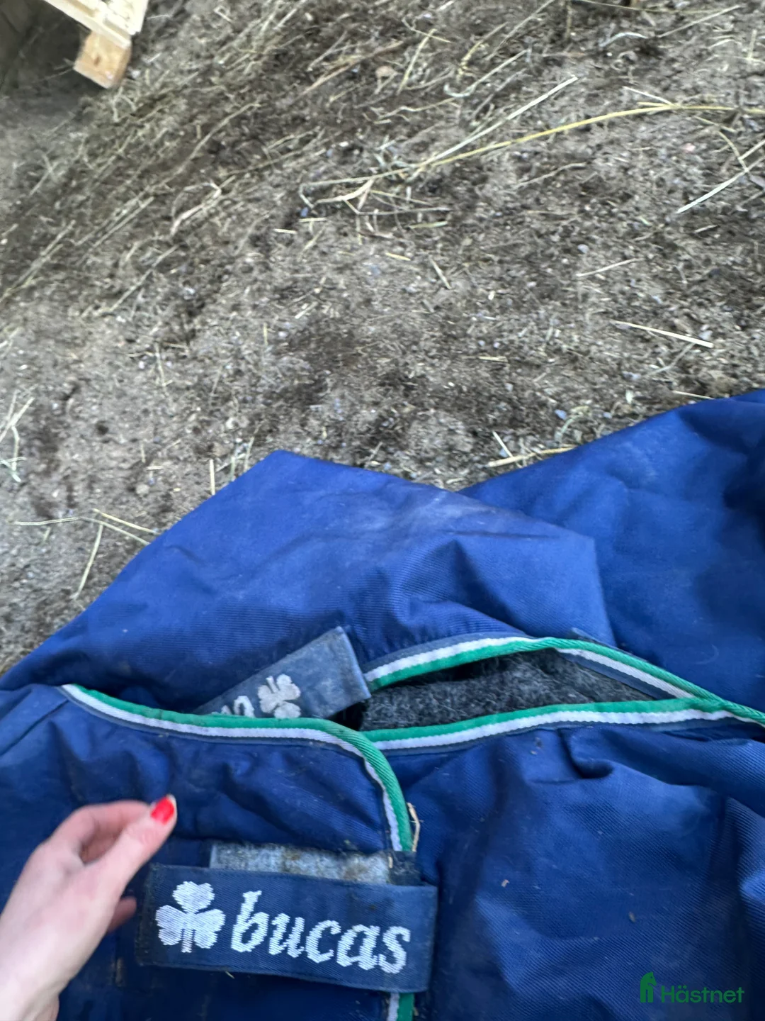 Täcken hästutrustning till salu: Bucas Smartex Rain 155 cm i Borlänge - Annons 4