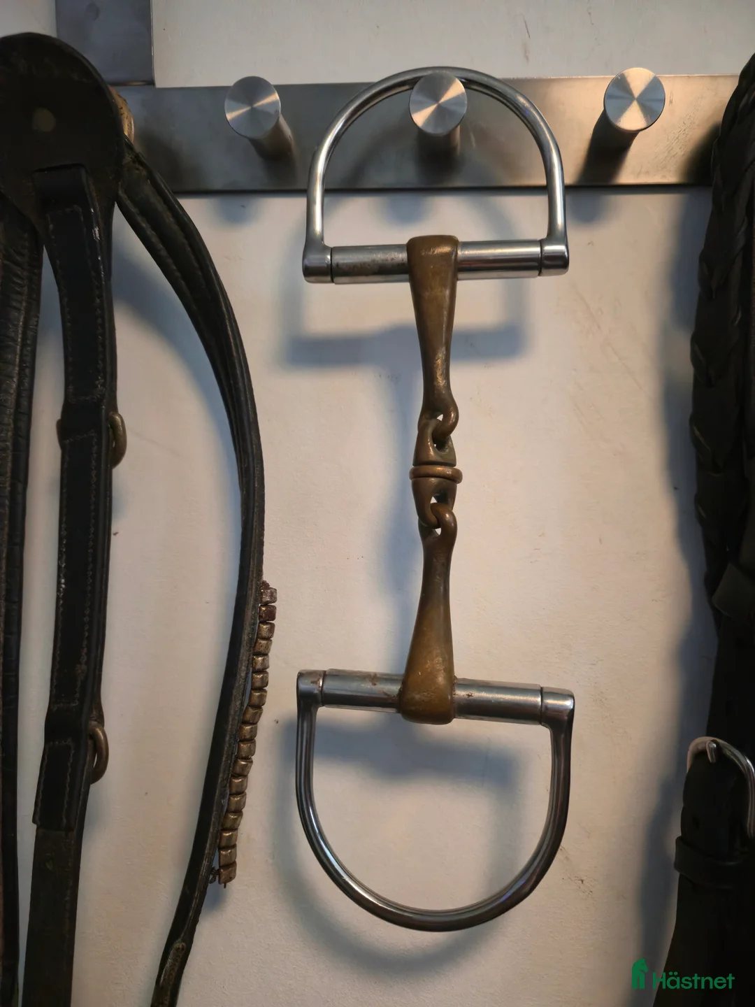 Bett hästutrustning till salu: Sprenger dynamic rs wh-ultrq i Sunne - Annons 1