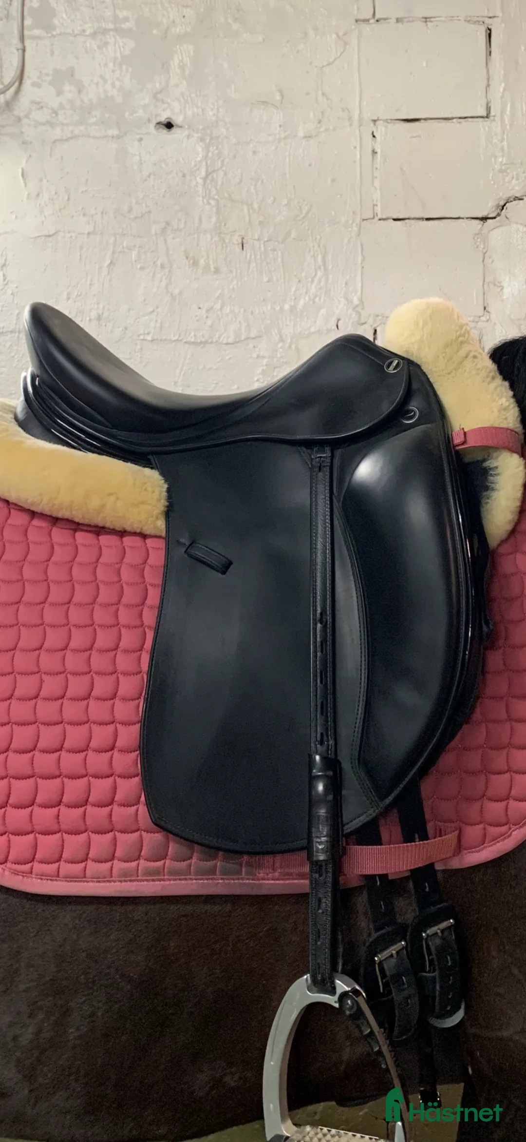 Sadlar hästutrustning till salu: Erreplus Adelinde  - Annons 5