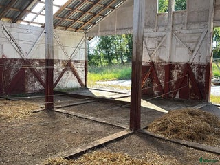 stallplats finnes: Lösdrift i Torslanda - Annons 1