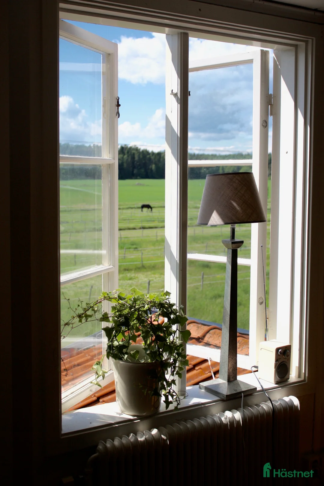  lägenhet till salu: Uthyres på Hästgård - Annons 5