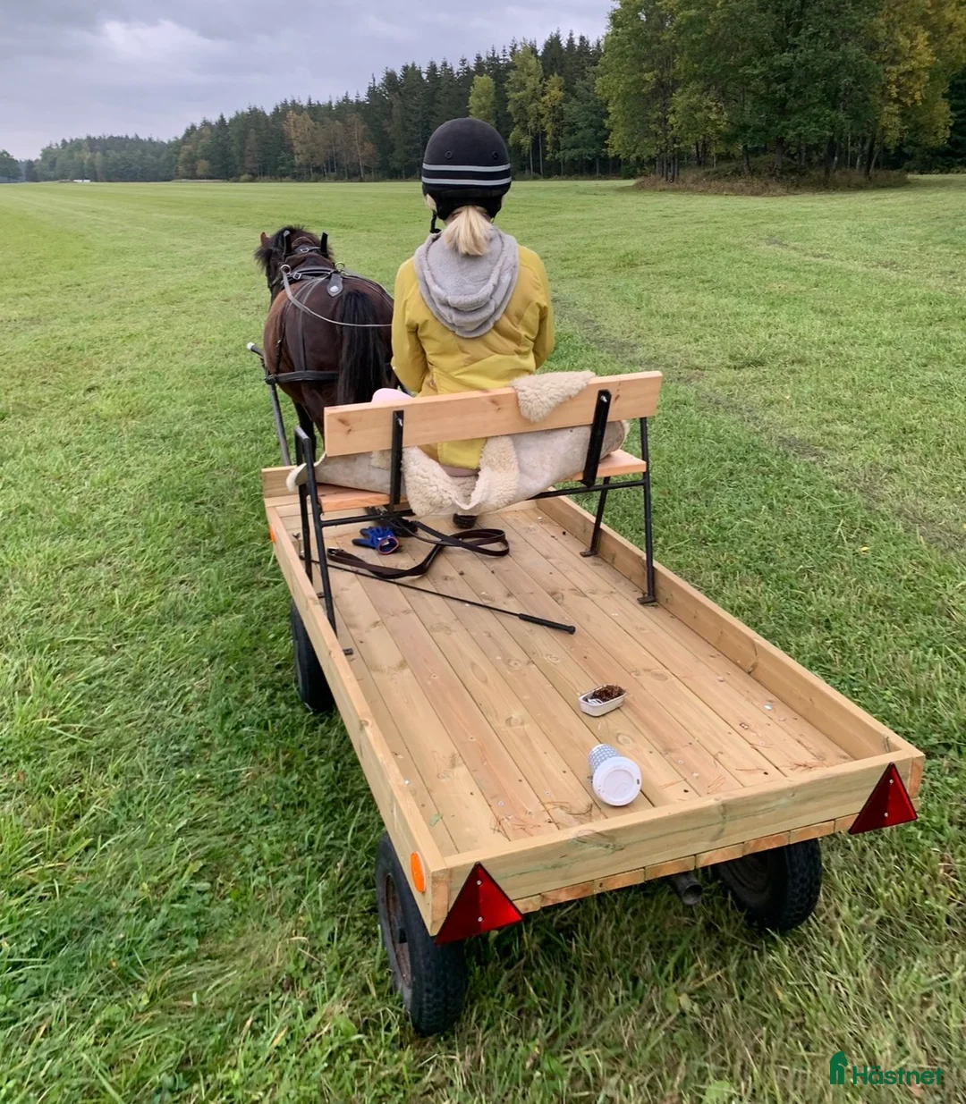 Körvagnar körning till salu: Flakvagn till ponny - Annons 8
