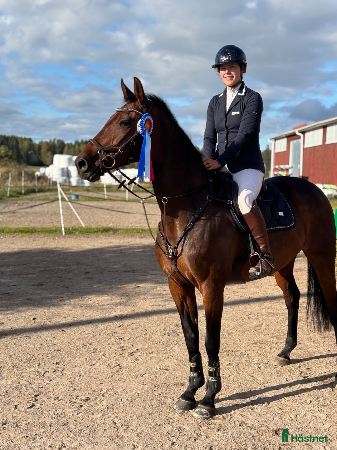 Hoppning hästar till salu: En perfekt junior/övergångshäst!  i Folkärna - Annons 1
