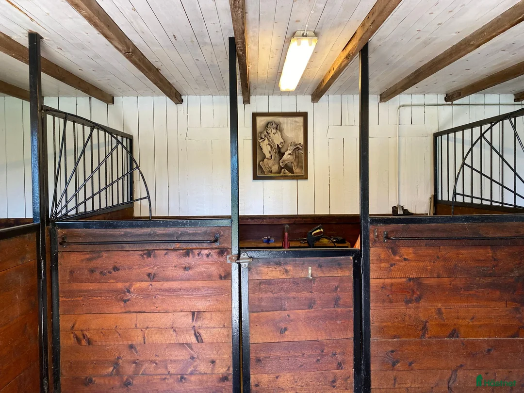  stallplats finnes: Boxplats i mysigt stall på Drottningholm - Annons 2