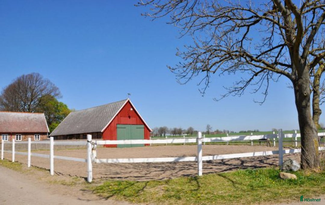  stallplats finnes: Stallplats, hästbox i Bjärred Lilla Bennickan i Bjärred - Annons 8