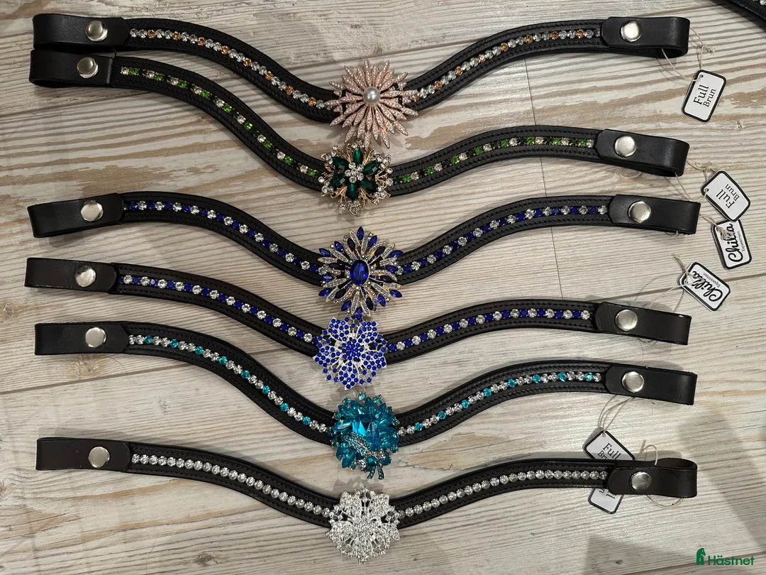 Övrig Hästutrustning hästutrustning till salu: Unika pannband  - Annons 6