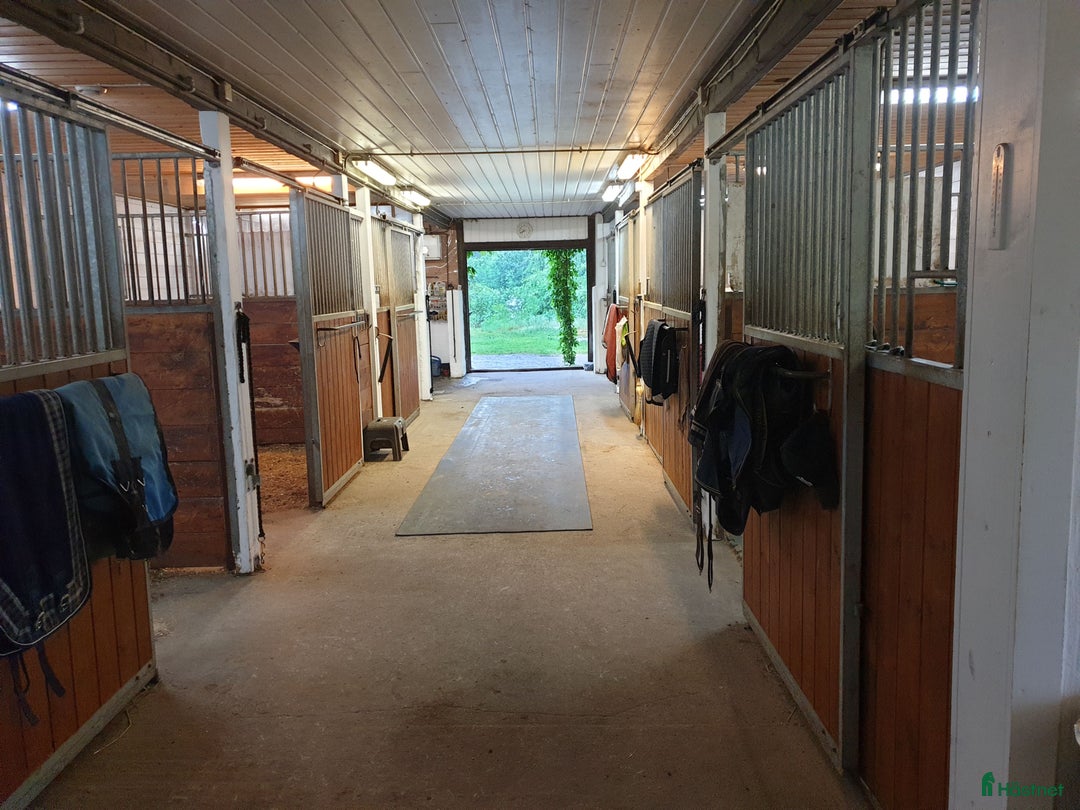  hästservice finnes: Tullnäs Gård Dressage´n Rehab i Norrtälje - Annons 2