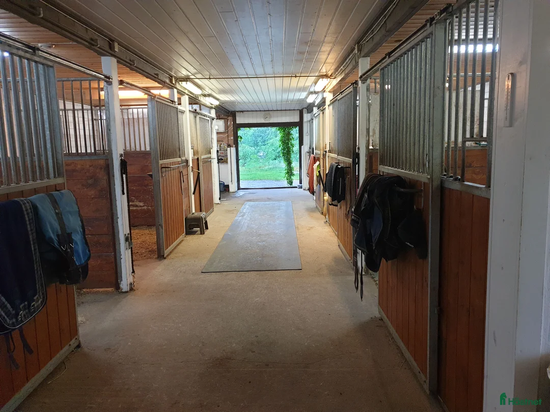  hästservice finnes: Tullnäs Gård Dressage´n Rehab - Annons 2