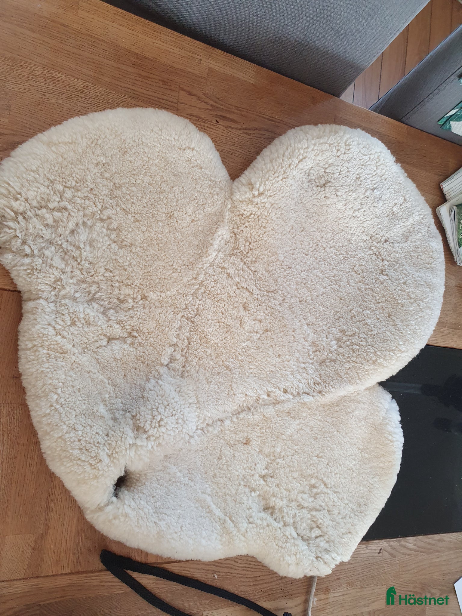 Sadeltillbehör hästutrustning Distansutrustning - Annons 15