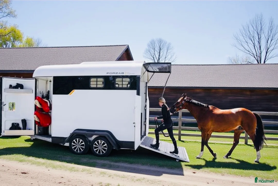 Galleribild {{count}}