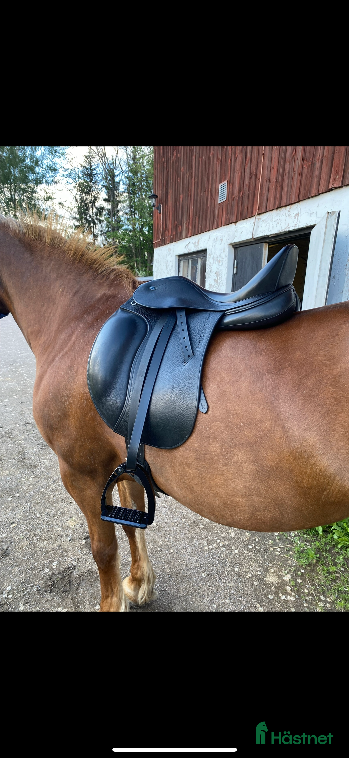 Sadlar hästutrustning till salu: Ikonic dressyrsadel obs sänkt pris  i Filipstad - Annons 1