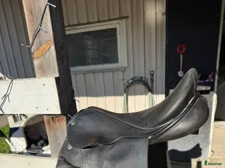 Sadlar hästutrustning Fin dressyrsadel - Annons 21