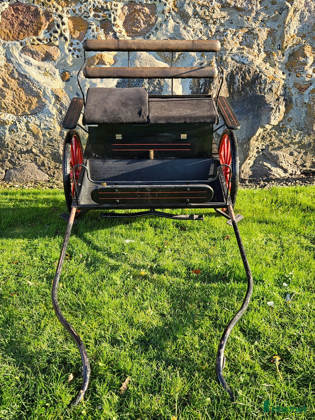 Körvagnar körning till salu: Vacker gigg till mindre ponny i Trelleborg - Annons 4