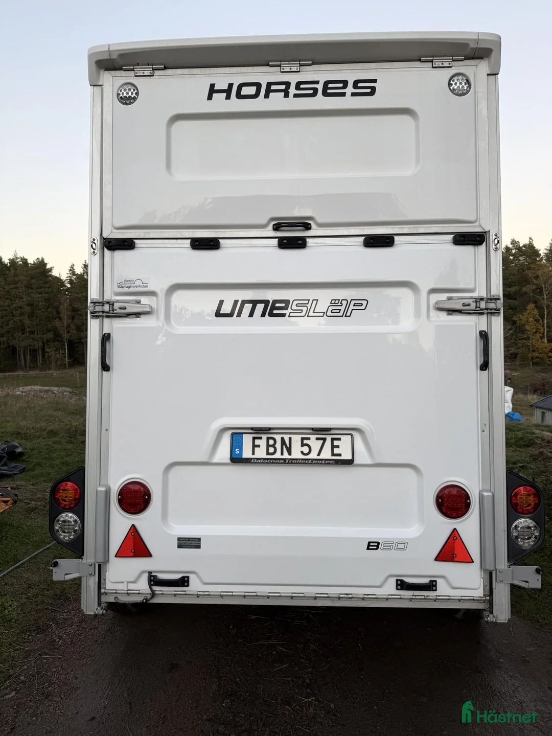 Hästtransporter  fordon & transport till salu: Umesläp B60 2024 - Annons 2