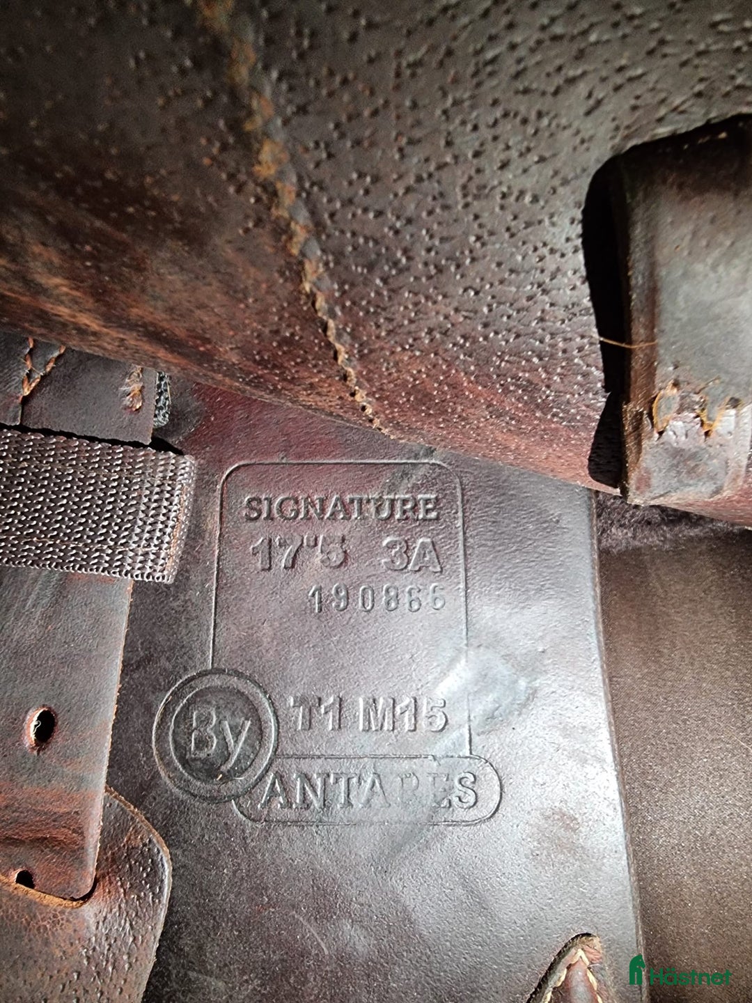 Sadlar hästutrustning till salu: Antares Signature  i Uppsala - Annons 2