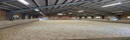  stallplats finnes: Boxplats i litet kollektivstall – Stall Skaft - Annons 3
