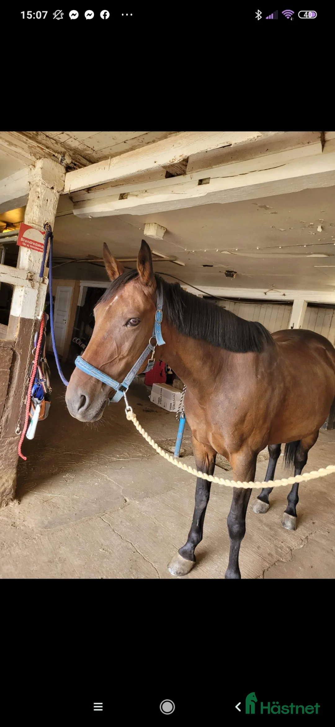 Galleribild {{count}}