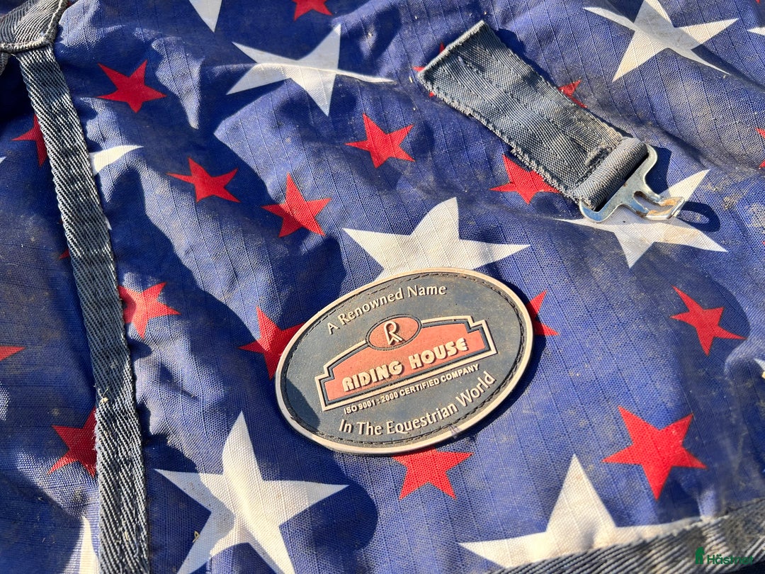 Övrig Hästutrustning hästutrustning till salu: Ponnysaker i Västerås - Annons 16